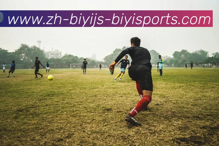 App Interface Preview